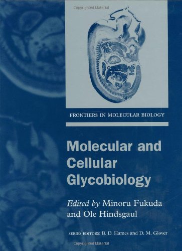 Stock image for FRONTIERS IN MOLECULAR BIOLOGY: MOLECULAR AND CELLULAR GLYCOBIOLOGY. for sale by Cambridge Rare Books