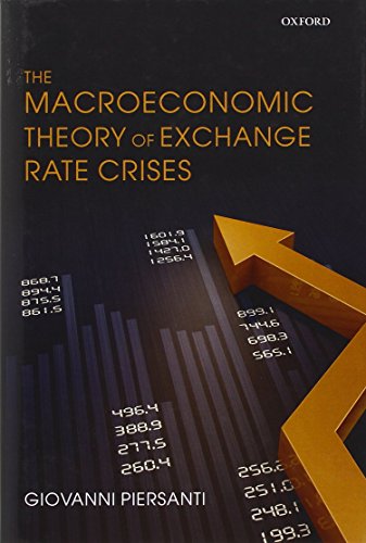 9780199653126: The Macroeconomic Theory of Exchange Rate Crises