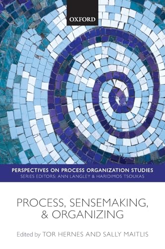 Imagen de archivo de Process, Sensemaking, and Organizing a la venta por Chiron Media