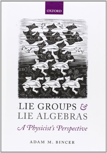 9780199662920: Lie Groups and Lie Algebras - A Physicist's Perspective