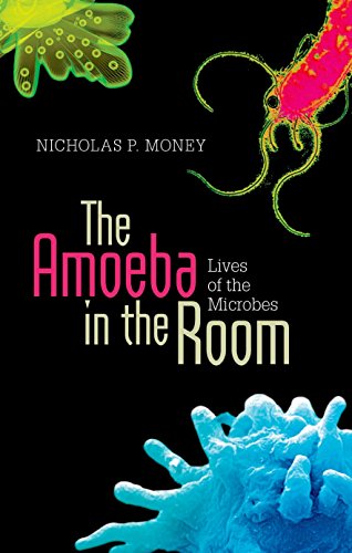 Beispielbild fr The Amoeba in the Room: Lives of the Microbes zum Verkauf von WorldofBooks