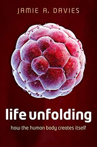 9780199673537: Life Unfolding: How the human body creates itself