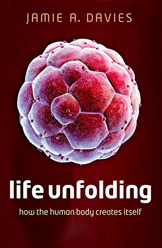 9780199673544: Life Unfolding: How the human body creates itself