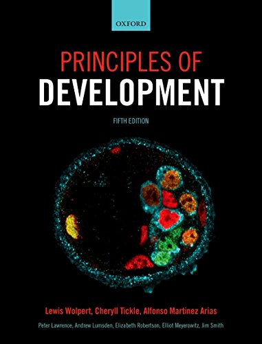Beispielbild fr Principles of Development zum Verkauf von BooksRun