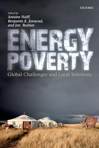 Stock image for Energy Poverty: Global Challenges and Local Solutions for sale by SecondSale