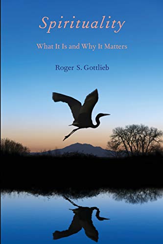 Imagen de archivo de Spirituality: What It Is and Why It Matters a la venta por SecondSale