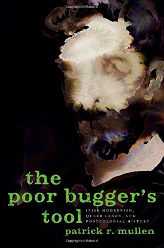 9780199746699: The Poor Bugger's Tool: Irish Modernism, Queer Labor, and Postcolonial History