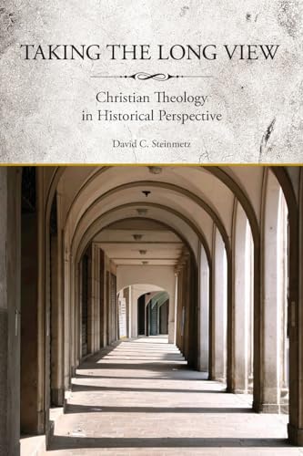 Imagen de archivo de Taking the Long View: Christian Theology in Historical Perspective a la venta por Chiron Media