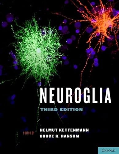 Neuroglia - Kettenmann, Helmut (EDT); Ransom, Bruce R.