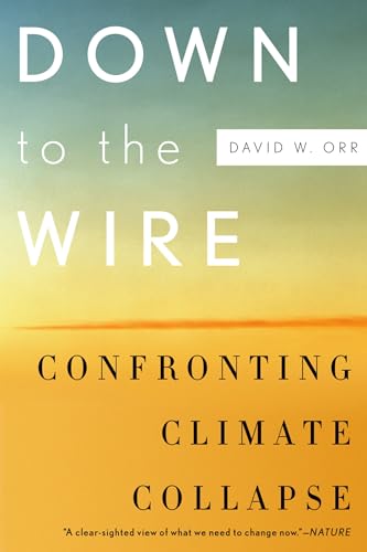 Imagen de archivo de Down to the Wire: Confronting Climate Collapse a la venta por Blackwell's