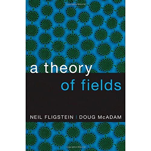 9780199859948: A Theory of Fields