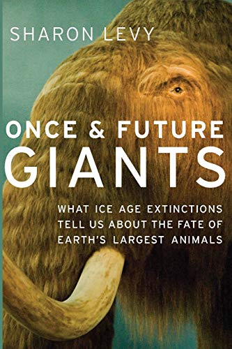Stock image for Once & Future Giants: What Ice Age Extinctions Tell Us about the Fate of Earth's Largest Animals for sale by Chiron Media