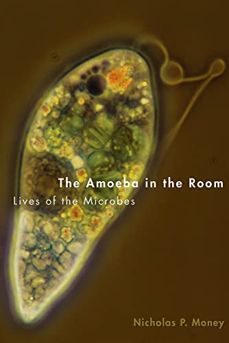 Beispielbild fr The Amoeba in the Room : Lives of the Microbes zum Verkauf von Better World Books