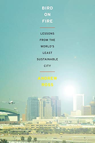 Stock image for Bird on Fire: Lessons from the World's Least Sustainable City for sale by BooksRun