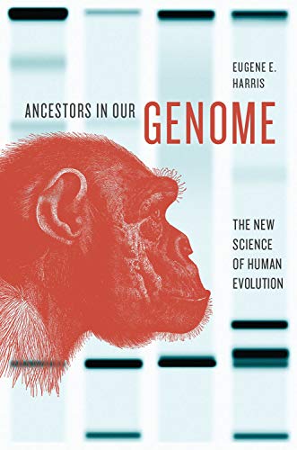 Imagen de archivo de Ancestors in Our Genome : The New Science of Human Evolution a la venta por Better World Books: West