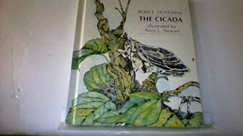 The cicada