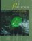 Precalculus: Graphs & Models, Graphing Calculator Manual : College Algebra and Trigonometry (9780201303728) by Bittinger, Marvin L.; Beecher, Judith A.; Ellenbogen, David J.; Penna, Judith A.