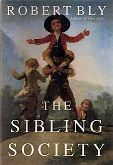 9780201461336: The Sibling Society