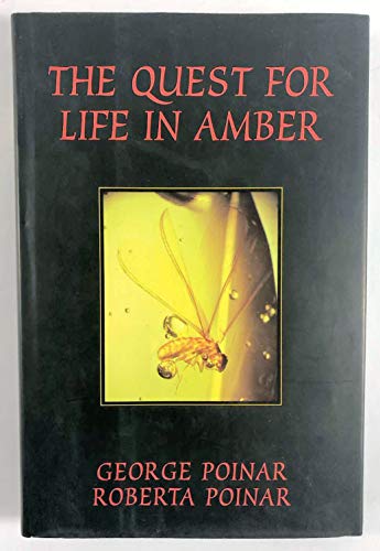 Beispielbild fr THE QUEST FOR LIFE IN AMBER. zum Verkauf von Cambridge Rare Books