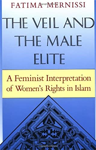 The Veil and the Male Elite. A Feminist Interpretation of Women's Rights in Islam.