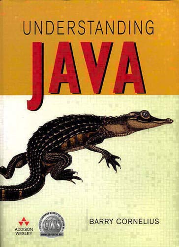 Beispielbild fr Understanding Java zum Verkauf von AwesomeBooks