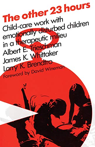 9780202260860: The Other 23 Hours: Child Care Work with Emotionally Disturbed Children in a Therapeutic Milieu