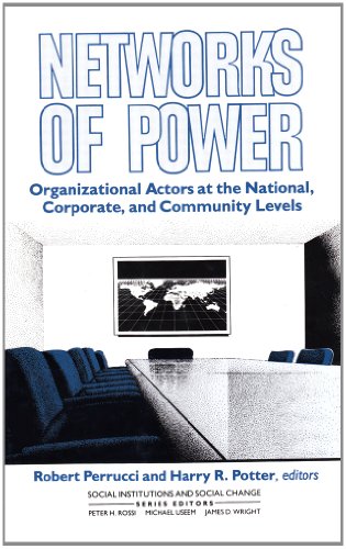 9780202303437: Networks of Power: Organizational Actors at the National, Corporate, and Community Levels (Social Institutions and Social Change Series)