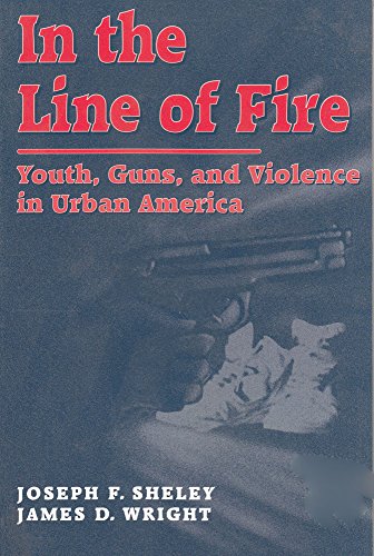 Stock image for In the Line of Fire: Youth, Guns, and Violence in Urban America (Social Institutions and Social Change) for sale by Iridium_Books