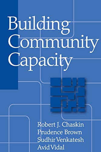 9780202306407: Building Community Capacity (Modern Applications of Social Work Series)