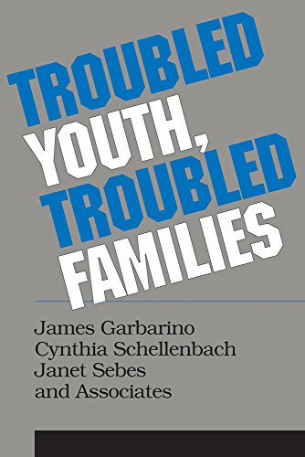 Imagen de archivo de Troubled Youth, Troubled Families: Understanding Families at Risk for Adolescent Maltreatment a la venta por Bingo Books 2
