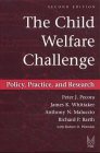 9780202360829: The Child Welfare Challenge : Policy, Practice, and Research (Modern Applications of Social Work)
