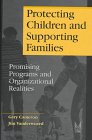 9780202361055: Protecting Children and Supporting Families: Promising Programs and Organizational Realities (Modern Applications of Social Work)