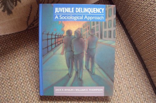 9780205117741: Juvenile Delinquency: A Sociological Approach