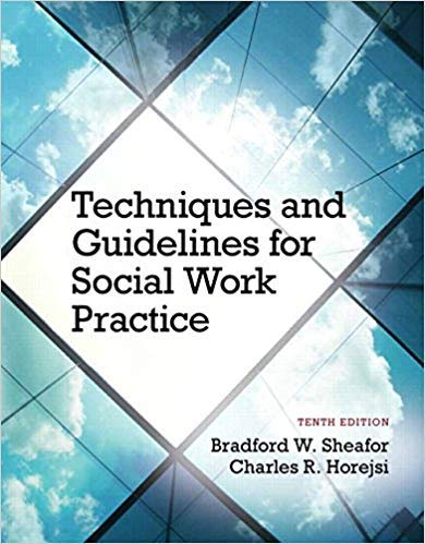 Imagen de archivo de Techniques and Guidelines for Social Work Practice a la venta por Orion Tech