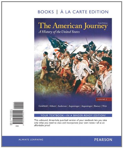 9780205246021: The American Journey: A History of the United States