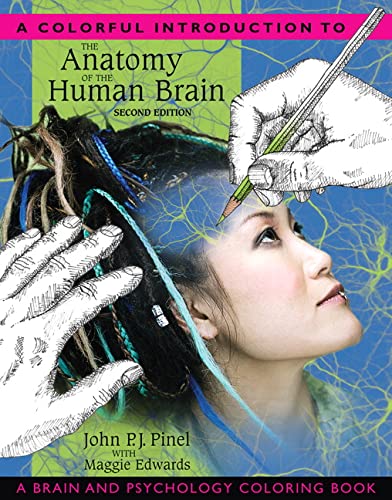 Beispielbild fr Colorful Introduction to the Anatomy of the Human Brain, A: A Brain and Psychology Coloring Book zum Verkauf von BooksRun