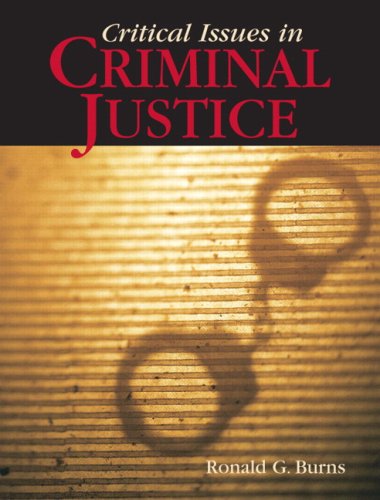 Beispielbild fr Critical Issues in Criminal Justice zum Verkauf von Better World Books