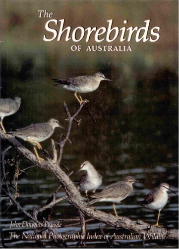 The Shorebirds Of Australia By John Douglas Pringle Angus