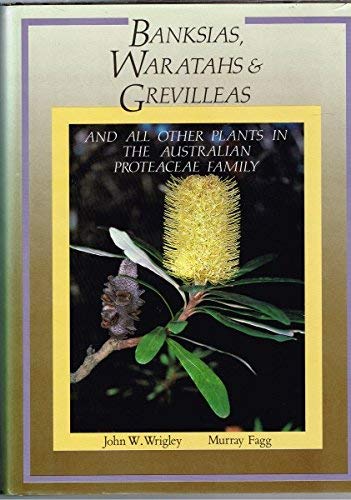 Stock image for Banksias Waratahs & Grevilleas & All Other Plants In The Australian Proteaceae Family: And All Other Plants In The Australian Proteaceae Family for sale by Archive