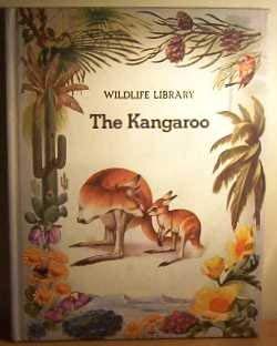 9780207958205: Kangaroo, The