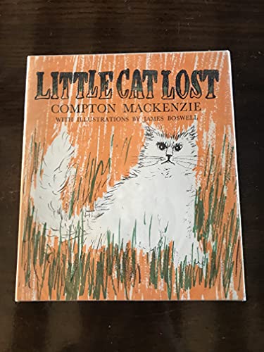 Little Cat Lost