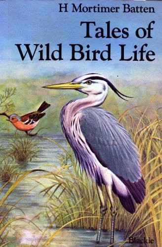9780216902770: Tales of Wild Bird Life
