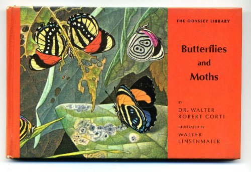 9780222692672: Butterflies and Moths (Young Specialist Looks at)