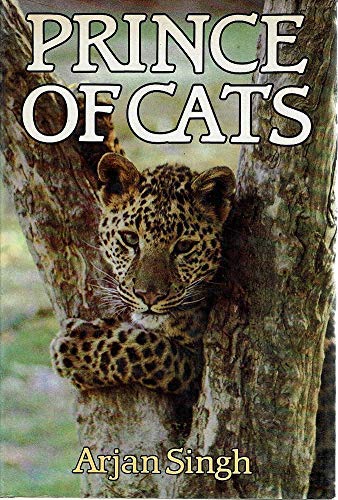 Stock image for Prince of Cats for sale by WorldofBooks