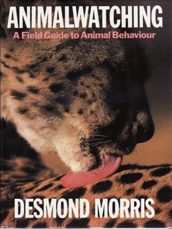 9780224027946: Animal Watching: A Field Guide to Animal Behaviour