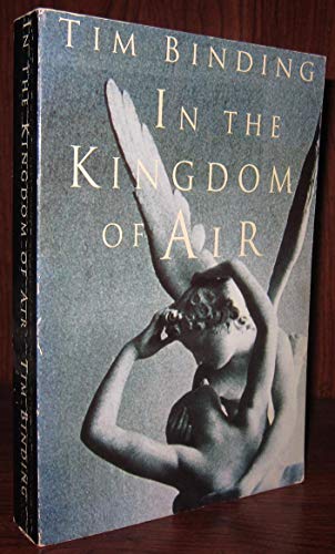 Stock image for In The Kingdom of Air: A Novel for sale by Hourglass Books