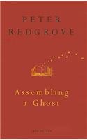 Imagen de archivo de Assembling A Ghost a la venta por Goldstone Books