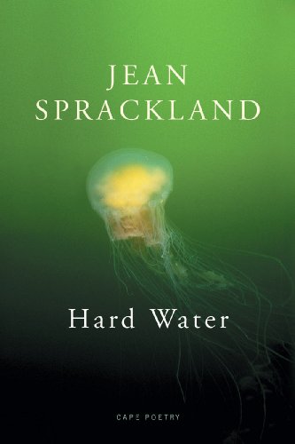 Imagen de archivo de Hard Water a la venta por Better World Books