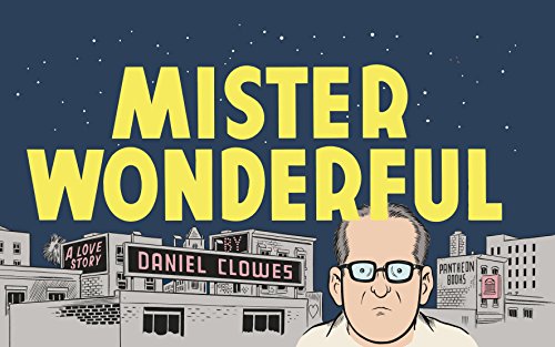 9780224085342: Mister Wonderful: A Love Story