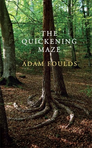 Imagen de archivo de The Quickening Maze a la venta por More Than Words
